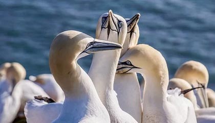 黔西2026年最新杭州高端商务伴游招聘网渠道分享(最方便真实的黔西茉莉伴游伴游天下全国联盟方法)