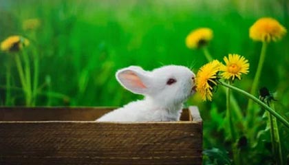 黔西2026年最新北京商务伴游经纪招聘渠道分享(最方便真实的黔西北京爱特博旅运服务有限责任公司招聘方法)